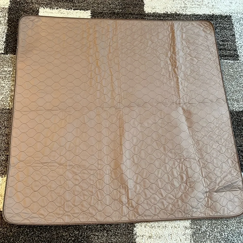 EZ Whelp small pet mat